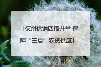 德州供销四措并举 保障“三夏”农资供应
