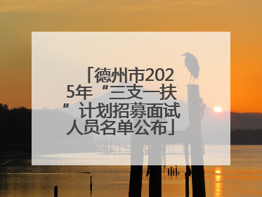 德州市2025年“三支一扶”计划招募面试人员名单公布