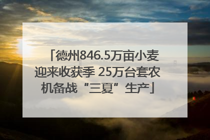 德州846.5万亩小麦迎来收获季 25万台套农机备战“三夏”生产