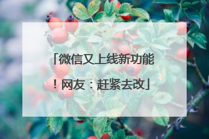 微信又上线新功能！网友：赶紧去改