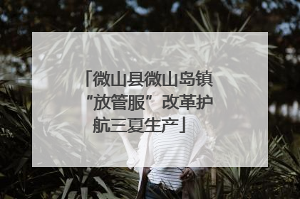 微山县微山岛镇“放管服”改革护航三夏生产
