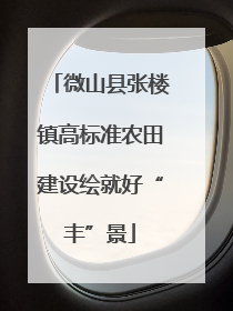 微山县张楼镇高标准农田建设绘就好“丰”景