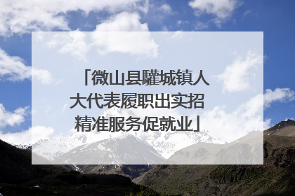 微山县驩城镇人大代表履职出实招精准服务促就业
