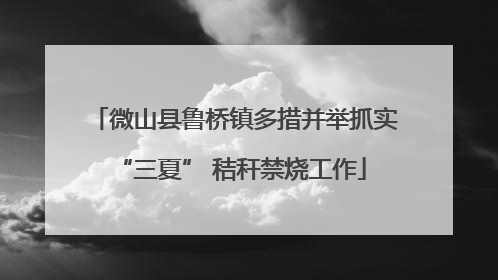 微山县鲁桥镇多措并举抓实 “三夏” 秸秆禁烧工作