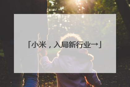 小米，入局新行业→
