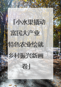 小水果撬动富民大产业 特色农业绘就乡村振兴新画卷