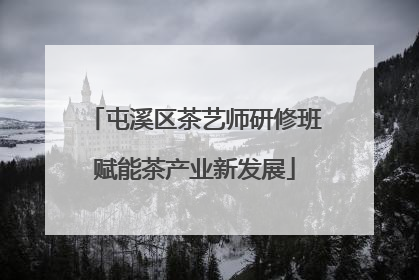 屯溪区茶艺师研修班赋能茶产业新发展