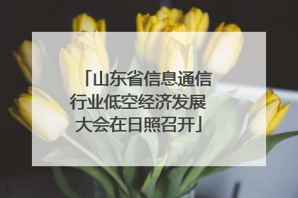 山东省信息通信行业低空经济发展大会在日照召开