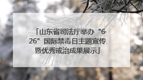 山东省司法厅举办“6·26”国际禁毒日主题宣传暨优秀戒治成果展示