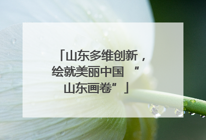 山东多维创新，绘就美丽中国 “山东画卷”