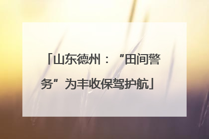 山东德州：“田间警务”为丰收保驾护航