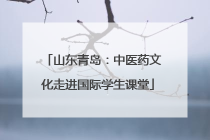 山东青岛：中医药文化走进国际学生课堂