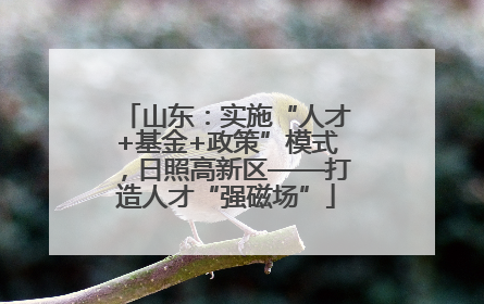 山东：实施“人才+基金+政策”模式，日照高新区——打造人才“强磁场”