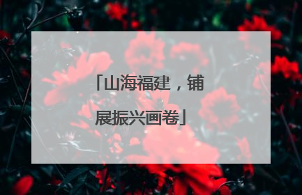 山海福建，铺展振兴画卷