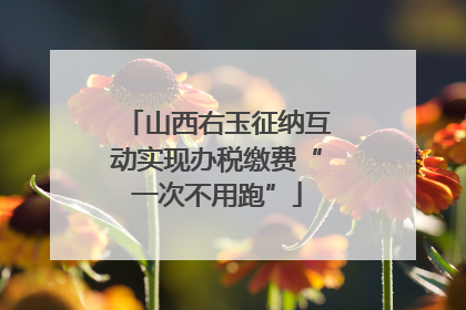 山西右玉征纳互动实现办税缴费“一次不用跑”