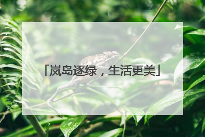 岚岛逐绿，生活更美