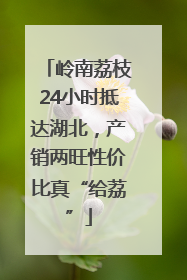 岭南荔枝24小时抵达湖北，产销两旺性价比真“给荔”