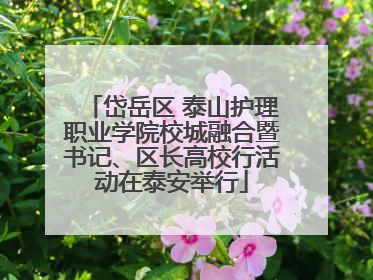 岱岳区 泰山护理职业学院校城融合暨书记、区长高校行活动在泰安举行