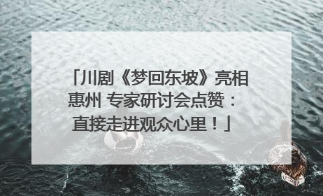 川剧《梦回东坡》亮相惠州 专家研讨会点赞：直接走进观众心里！