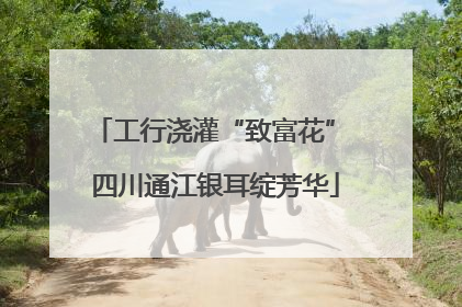 工行浇灌“致富花” 四川通江银耳绽芳华