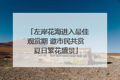 左岸花海进入最佳观赏期 邀市民共赏夏日繁花盛景