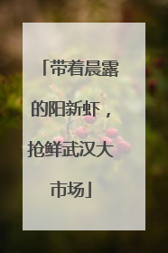 带着晨露的阳新虾，抢鲜武汉大市场