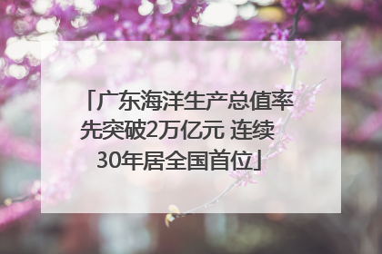 广东海洋生产总值率先突破2万亿元 连续30年居全国首位