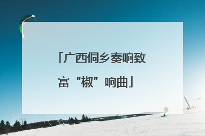 广西侗乡奏响致富“椒”响曲