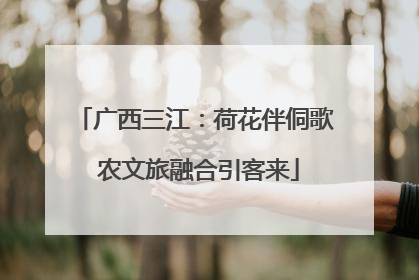 广西三江：荷花伴侗歌 农文旅融合引客来