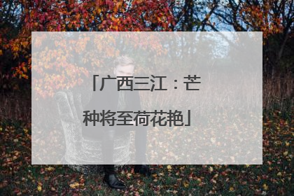 广西三江：芒种将至荷花艳