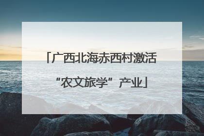 广西北海赤西村激活“农文旅学”产业