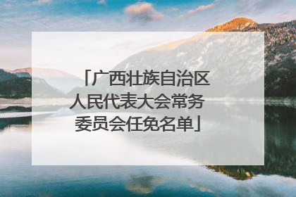 广西壮族自治区人民代表大会常务委员会任免名单