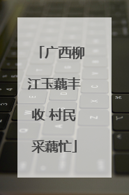 广西柳江玉藕丰收 村民采藕忙