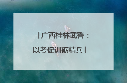 广西桂林武警：以考促训砺精兵