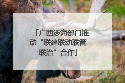 广西涉海部门推动“联建联动联管联治”合作
