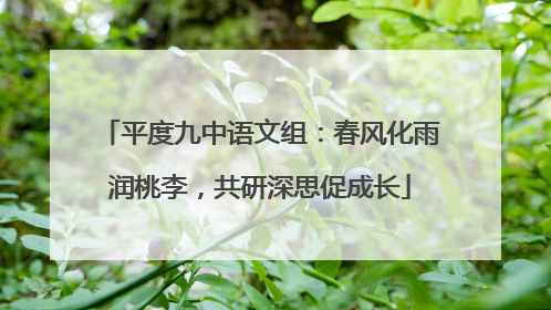 平度九中语文组：春风化雨润桃李，共研深思促成长