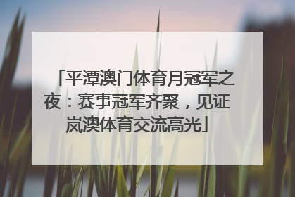 平潭澳门体育月冠军之夜：赛事冠军齐聚，见证岚澳体育交流高光