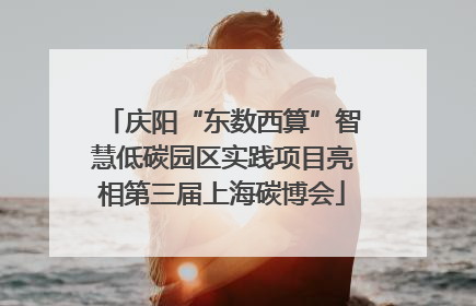 庆阳“东数西算”智慧低碳园区实践项目亮相第三届上海碳博会