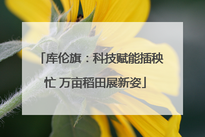 库伦旗：科技赋能插秧忙 万亩稻田展新姿