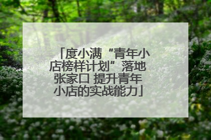 度小满“青年小店榜样计划”落地张家口 提升青年小店的实战能力