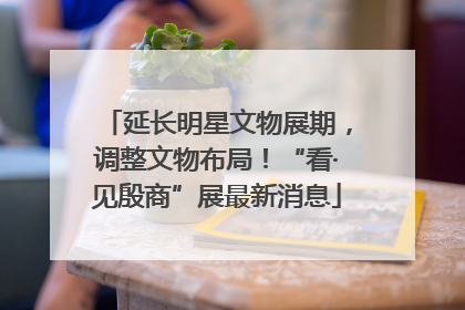 延长明星文物展期，调整文物布局！“看·见殷商”展最新消息
