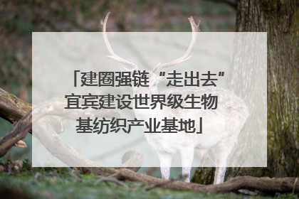 建圈强链“走出去” 宜宾建设世界级生物基纺织产业基地