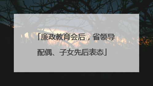 廉政教育会后，省领导配偶、子女先后表态