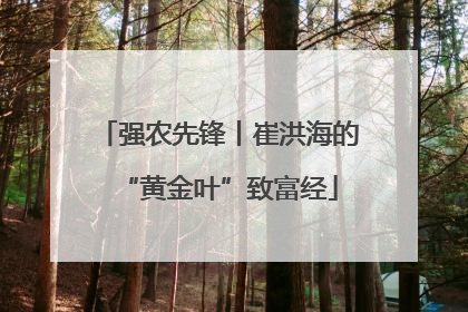 强农先锋丨崔洪海的“黄金叶”致富经