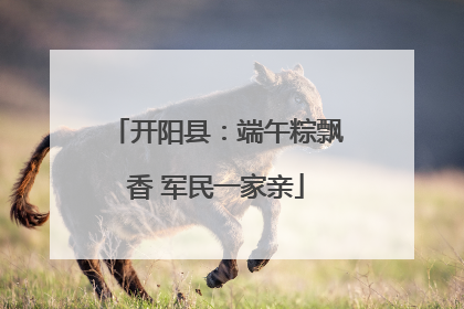 开阳县：端午粽飘香 军民一家亲