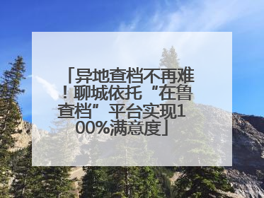 异地查档不再难！聊城依托“在鲁查档”平台实现100%满意度