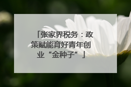 张家界税务：政策赋能育好青年创业“金种子”