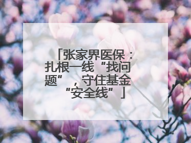 张家界医保：扎根一线“找问题”，守住基金“安全线”