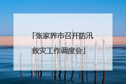 张家界市召开防汛救灾工作调度会