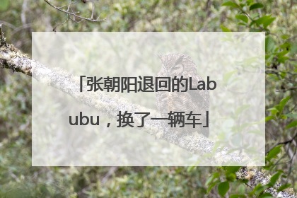 张朝阳退回的Labubu，换了一辆车